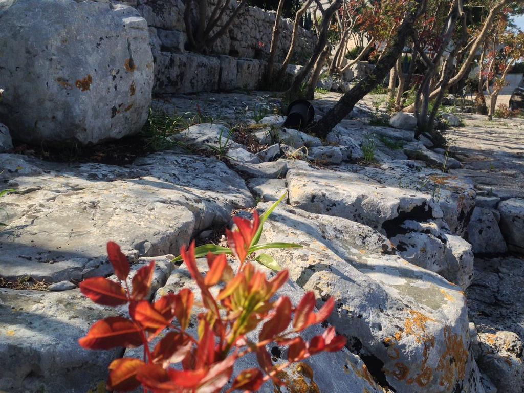 Villa Giuseppina Monopoli Eksteriør bilde