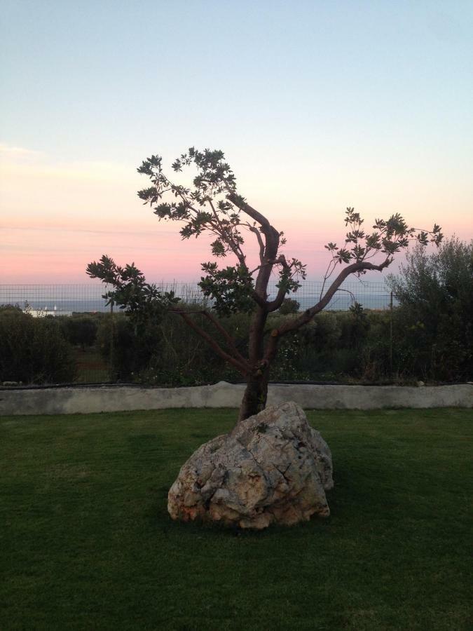Villa Giuseppina Monopoli Eksteriør bilde